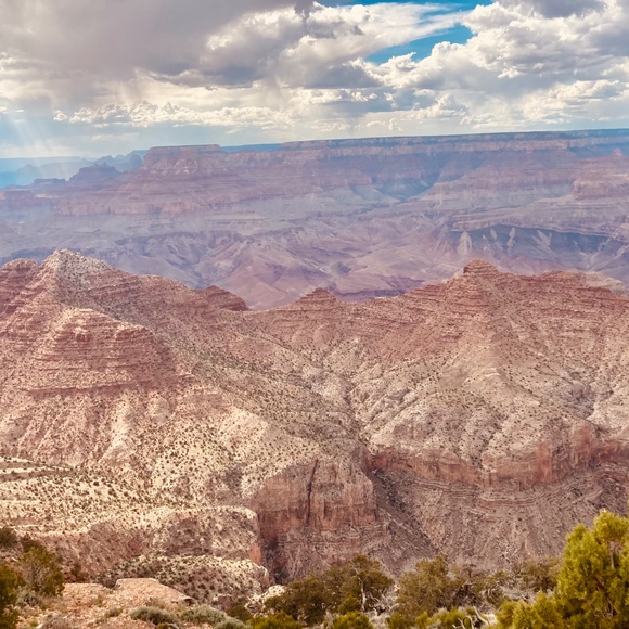 Meet your Posher, Jessie Leigh - Picture 3 of 11